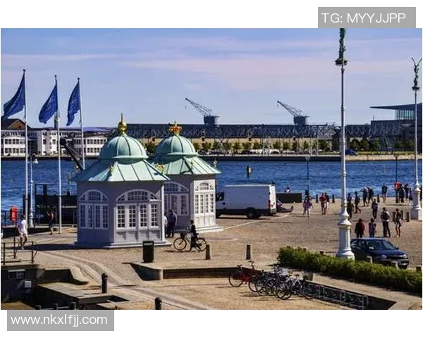 丹麦足球球队核心球星引领北欧力量崛起再现绿茵传奇风采